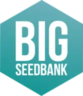 Big Seedbank logo