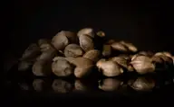 Kannabia Seeds logo