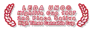 KC Brains logo