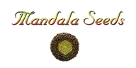 Mandala Seeds logo