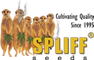 Spliff Seeds logo