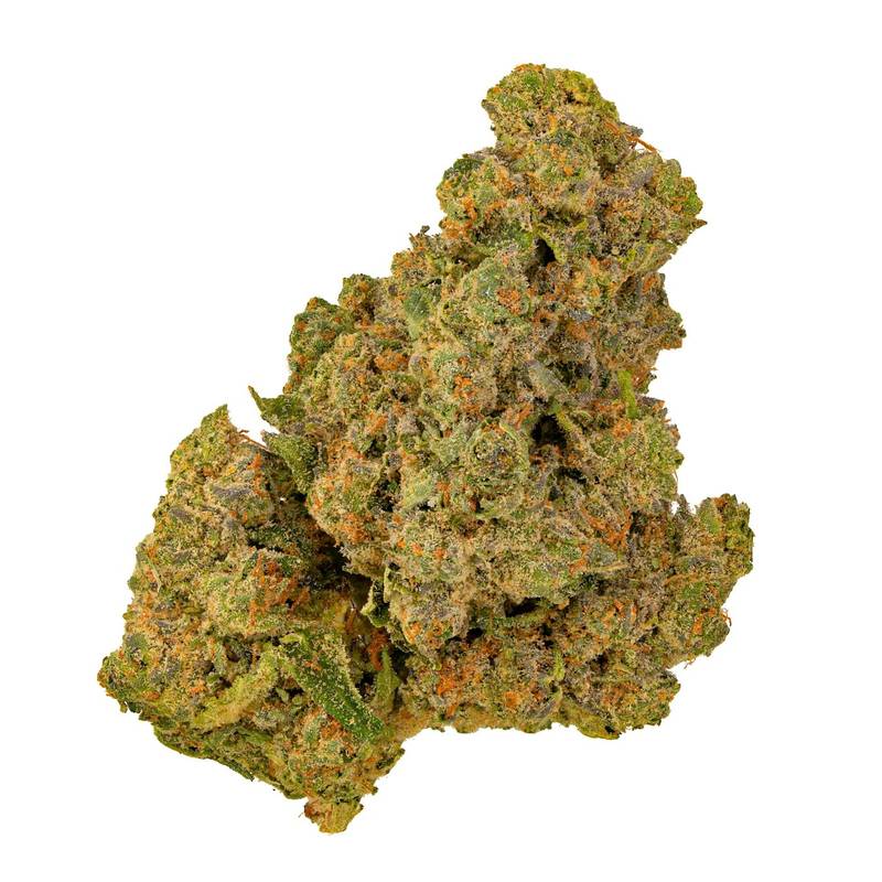 Suszony kwiatostan odmiany Pink Kush (zdjęcie firmy Aurora)