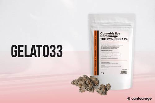 Opakowanie Cannabis flos Cantourage THC 26%, CBD ≤1% (Gelato 33)