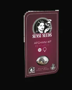 Afghani #1