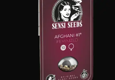 Afghani #1