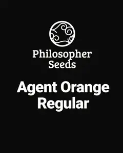 Agent Orange Regular