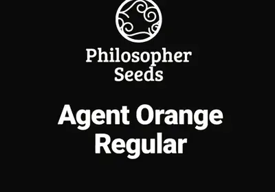 Agent Orange Regular