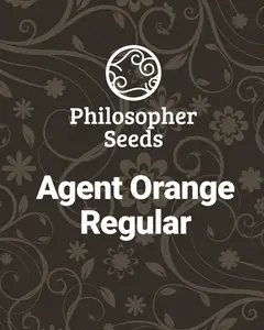 Agent Orange Regular