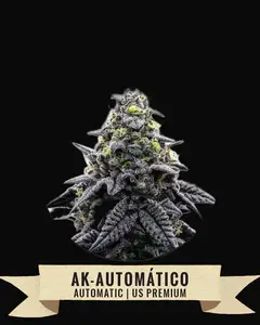 AK-Automático