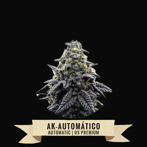 AK-Automático