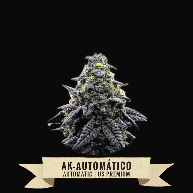 AK-Automático