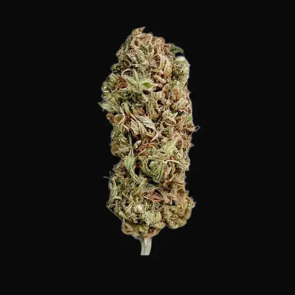 AMG – Amnesia Mac Ganja — zdjęcie 5