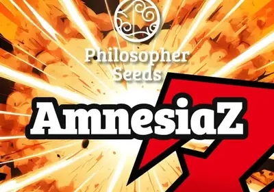 AmnesiaZ