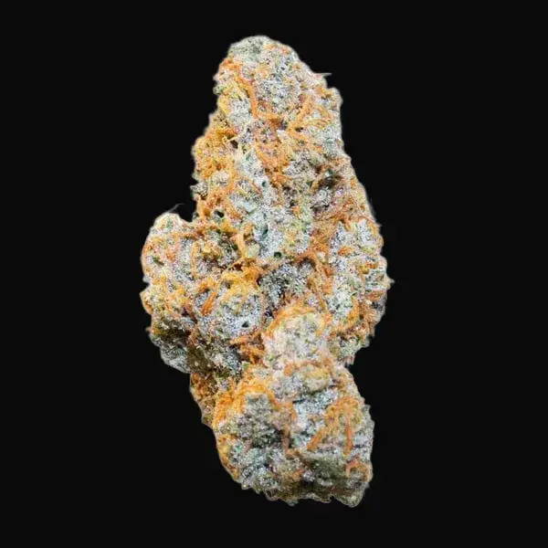 Apple Fritter Auto — zdjęcie 2