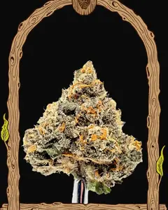 Artic Flurry