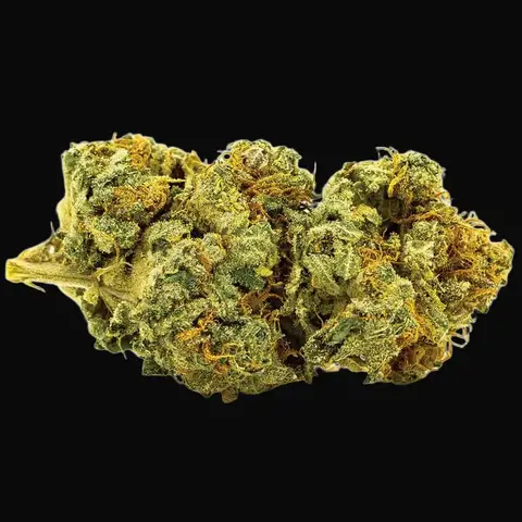 Auto Banana Monkey