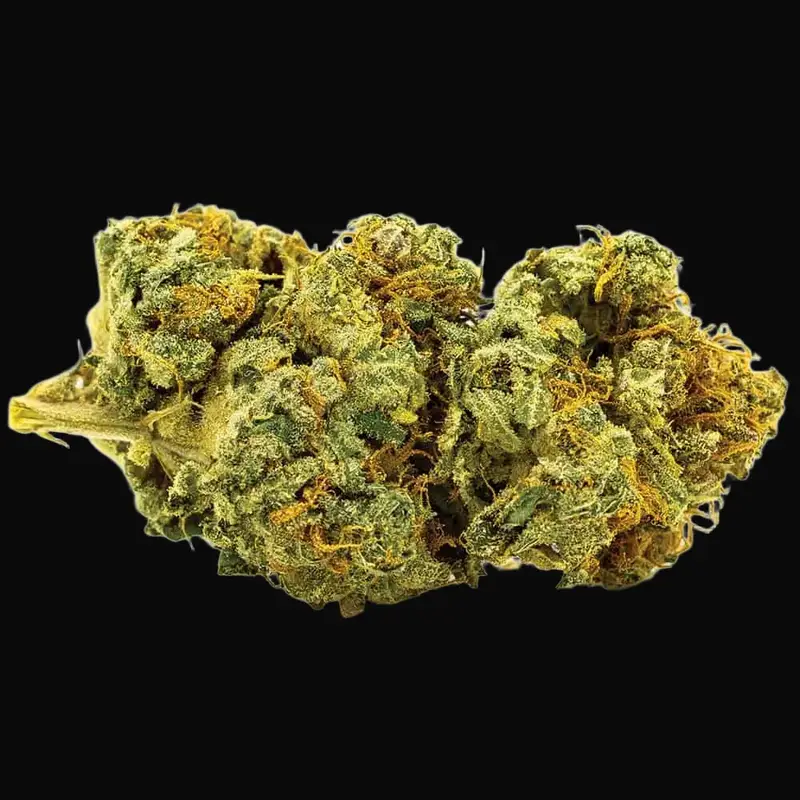 Auto Banana Monkey