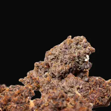 Auto Blackberry Kush — zdjęcie 5