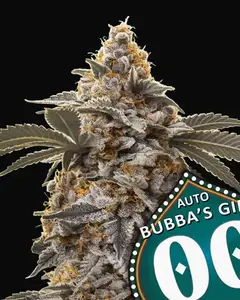 Auto Bubba's Gift