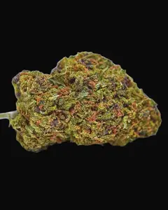 Auto Lavender Best