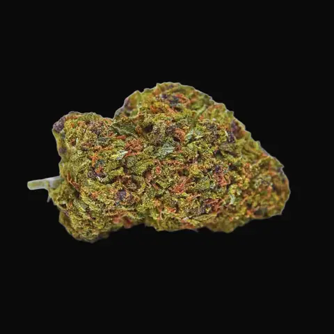 Auto Lavender Best