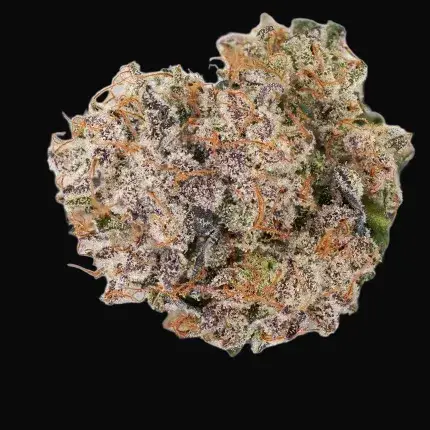 Auto Mimosa Punch — zdjęcie 2