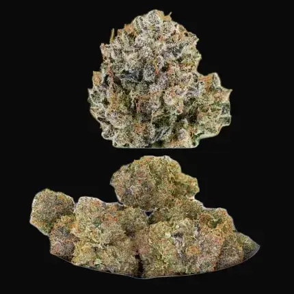 Auto Mimosa Punch — zdjęcie 6