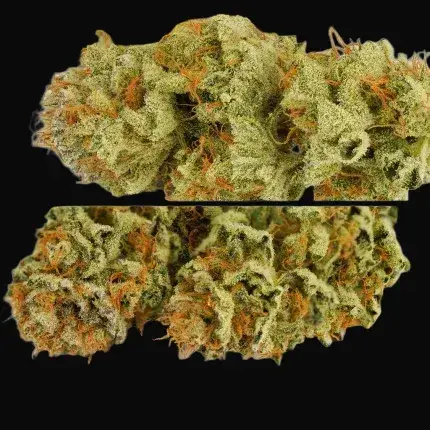Auto Mokum's Tulip — zdjęcie 5