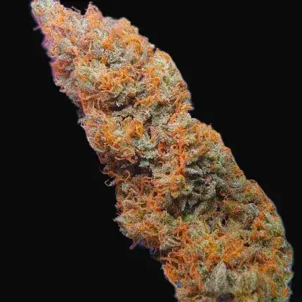 Auto Purple OG Punch — zdjęcie 2