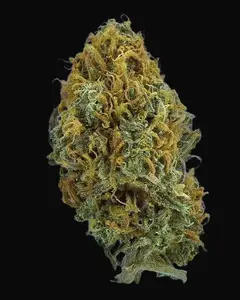 TB Skittlez Auto