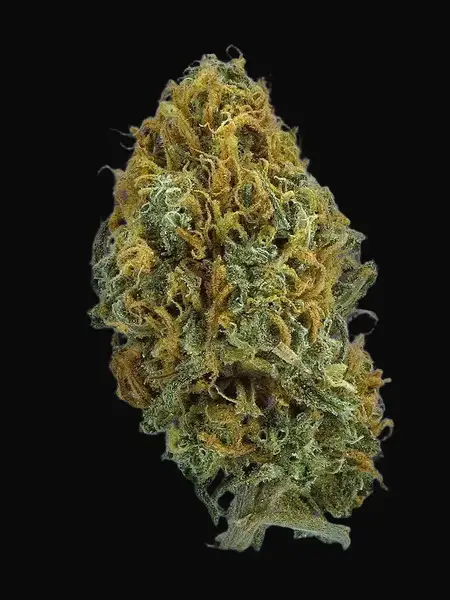 TB Skittlez Auto