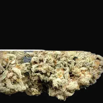 Auto Sweet Bourbon Kush — zdjęcie 3