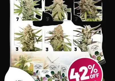 Autoflower Package Deal