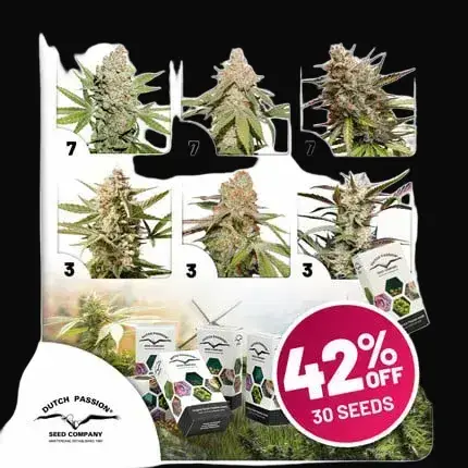 Autoflower Package Deal