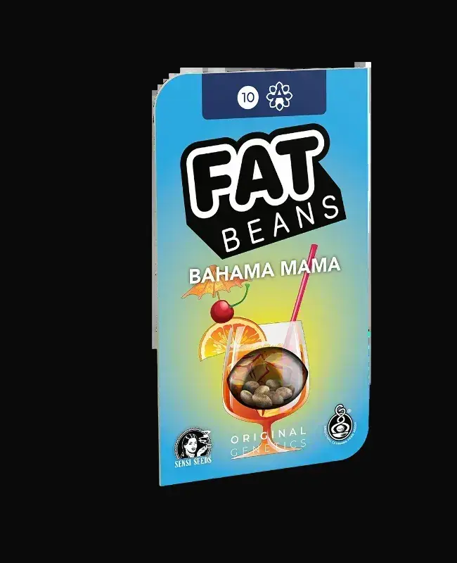 Bahama Mama Automatic — zdjęcie 2