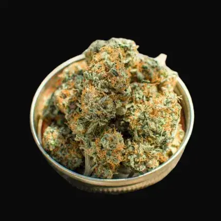 Banana Blaze — zdjęcie 4