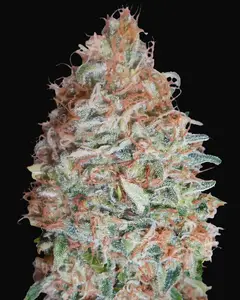 Banana Cookies