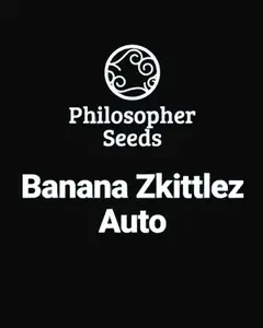 Banana Zkittlez Auto