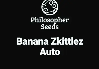 Banana Zkittlez Auto
