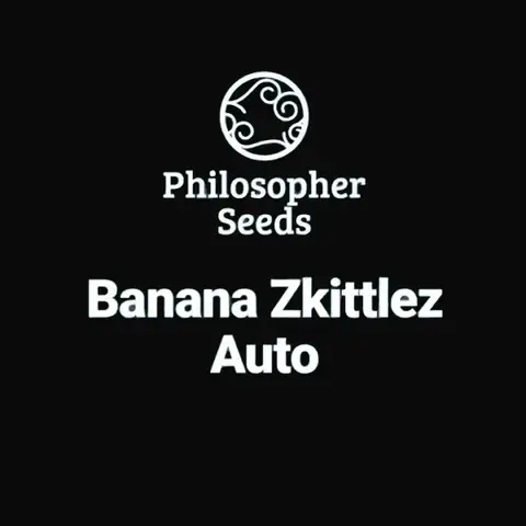 Banana Zkittlez Auto
