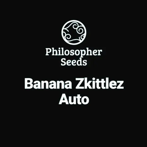 Banana Zkittlez Auto