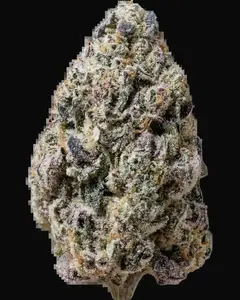 Biscotti Gelato