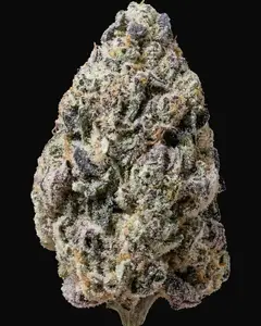 Biscotti Gelato
