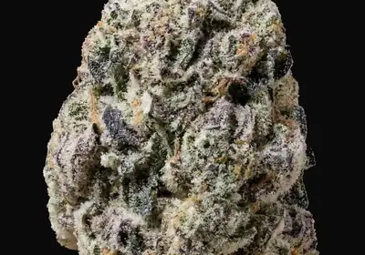 Biscotti Gelato
