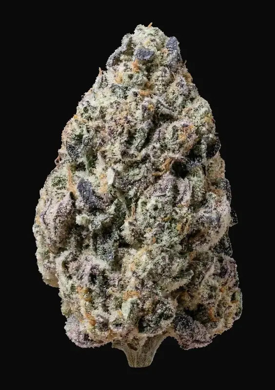 Biscotti Gelato