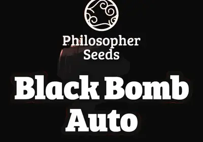 Black Bomb Auto
