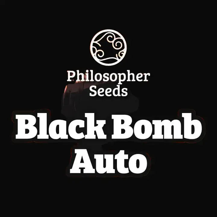 Black Bomb Auto