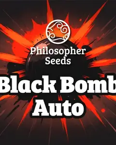 Black Bomb Auto