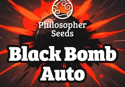 Black Bomb Auto