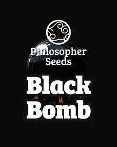 Black Bomb